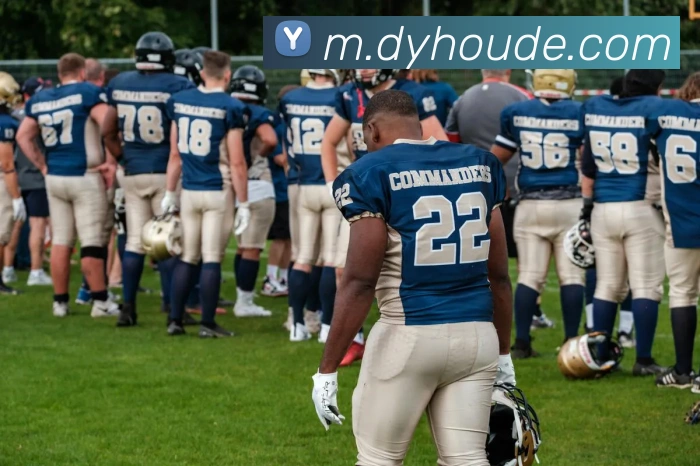 App Interface Preview