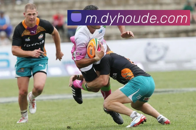 数据防护可视化